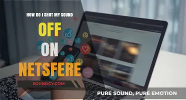 How to Mute Notifications and Sounds on Netsfere Easily