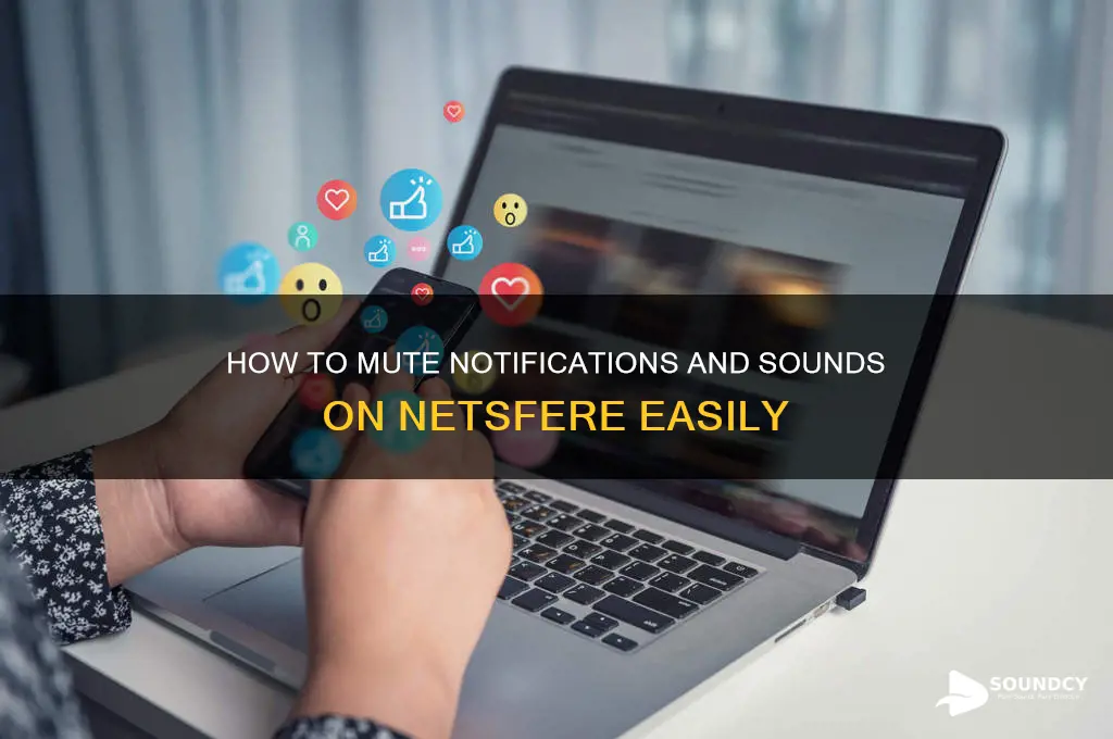 how do i shut my sound off on netsfere