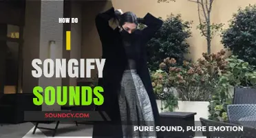 Transforming Everyday Sounds into Music: A Guide to Songifying Audio