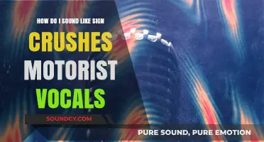 Mastering Sign Crushes Motorist-Inspired Vocals: Techniques for Unique Sound