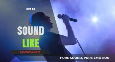 Master Your Voice: Tips to Sound Like Your Ideal Self