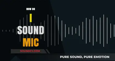 Mastering Your Mic: Essential Tips for Clear and Professional Sound