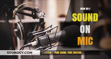 Master Your Mic: Tips to Sound Clear and Professional Every Time
