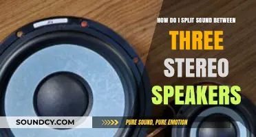 Mastering Audio Distribution: Splitting Sound Across Three Stereo Speakers