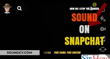 Silence Snapchat Camera Sound: Quick Fixes for Discreet Snaps