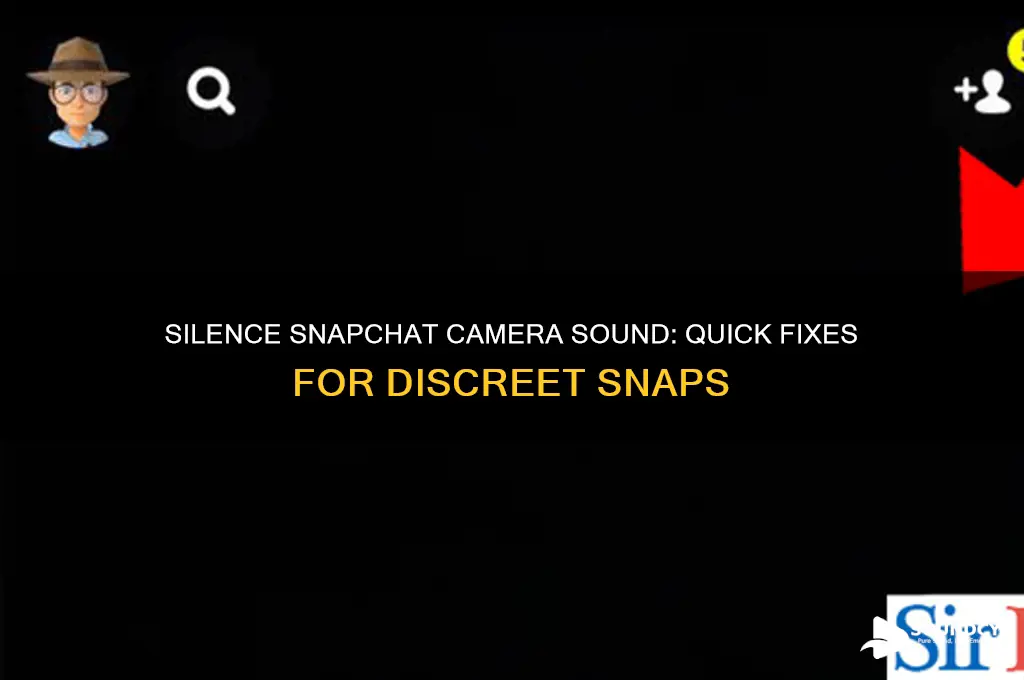 how do i stop the camera sound on snapchat