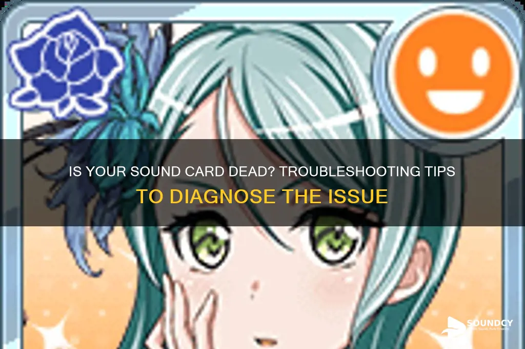 how do i tell if my sound card died