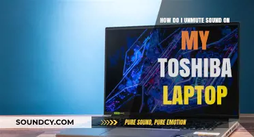 Quick Fix: Unmute Sound on Your Toshiba Laptop Easily