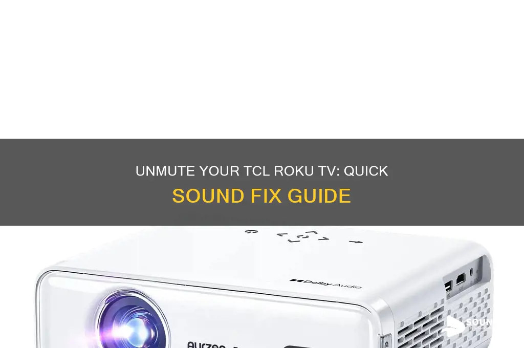 how do i unmute sound on tcl roku tv