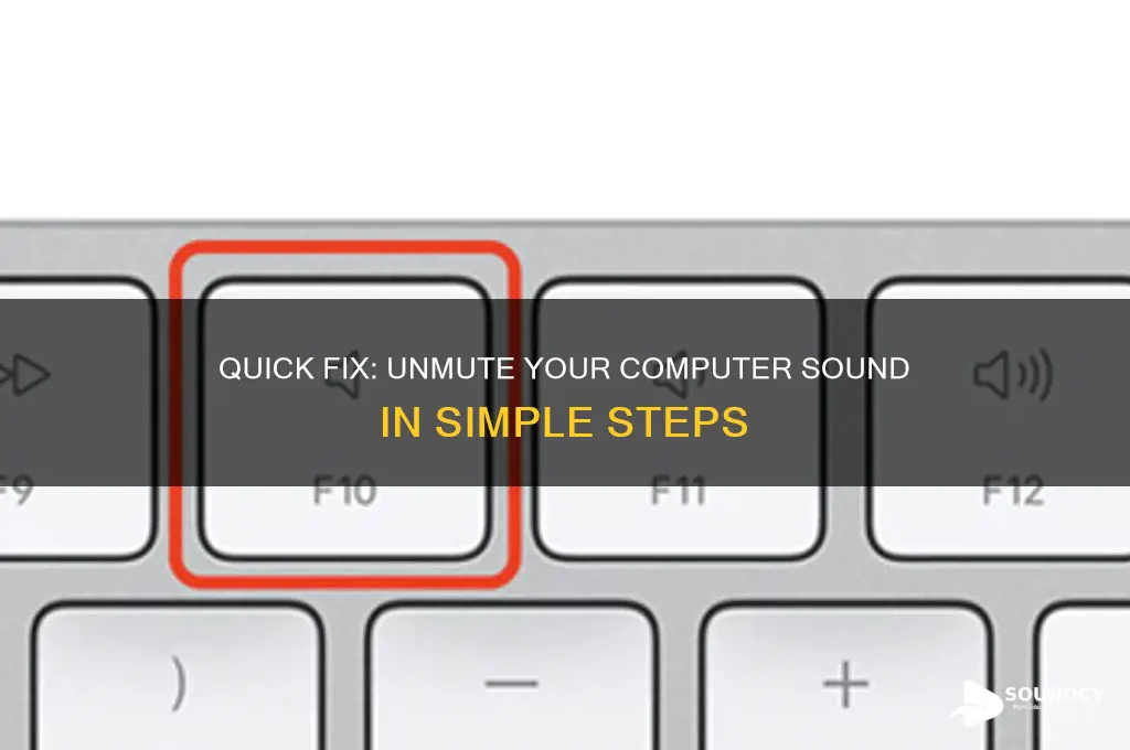 how do i unmute the sound on my computer