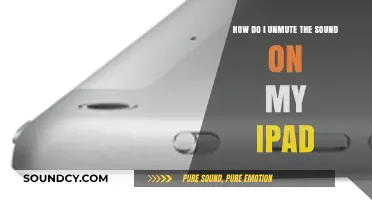 Quick Guide: Unmuting Sound on Your iPad in Simple Steps