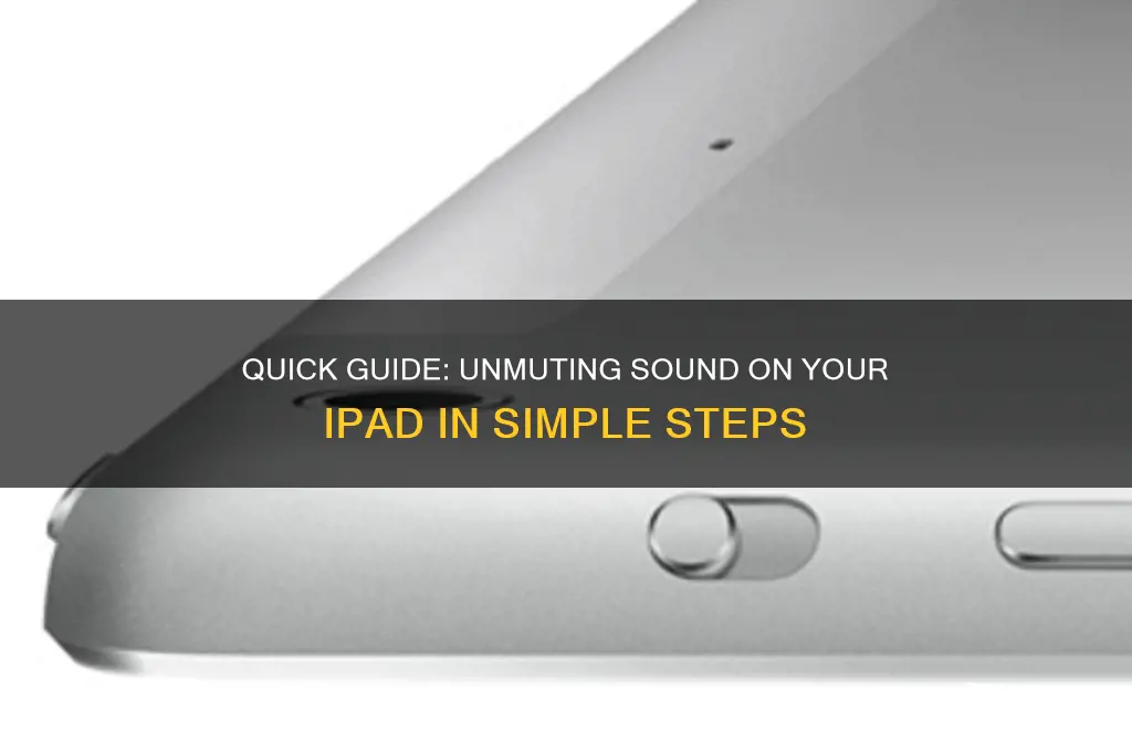 how do i unmute the sound on my ipad