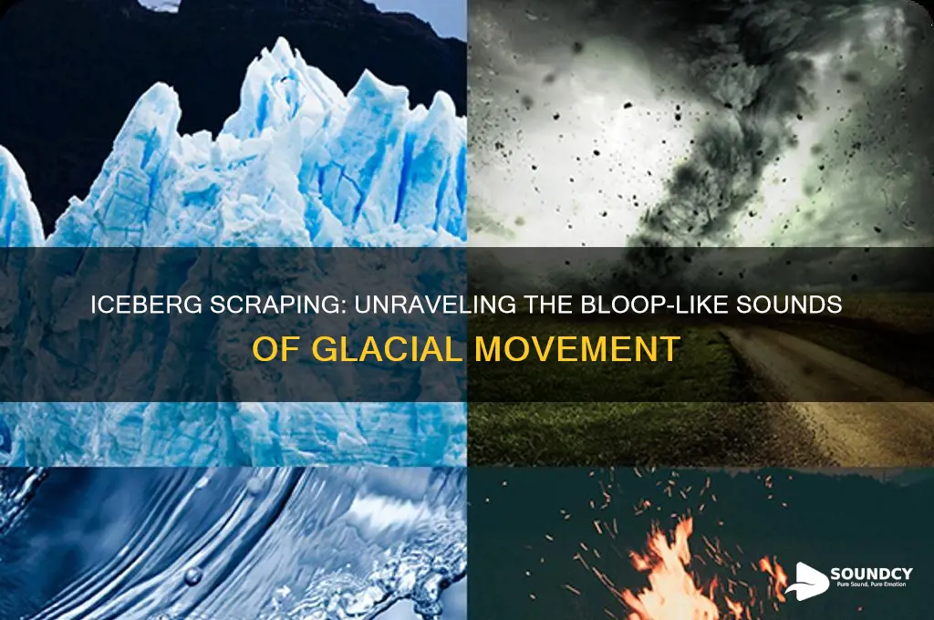 how do icebergs scraping make sounds like the bloop