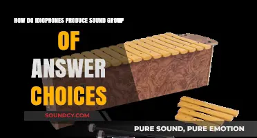 How Idiophones Create Sound: Exploring Vibrations and Materials