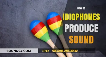 Understanding Idiophones: How These Self-Sounding Instruments Vibrate and Resonate