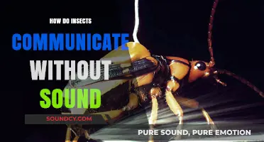 Silent Conversations: Unveiling Insects' Unique Non-Verbal Communication Methods