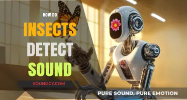 Unveiling the Secrets: How Insects Detect and Interpret Sound Waves