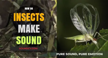 Unveiling the Buzz: How Insects Create Their Unique Sounds