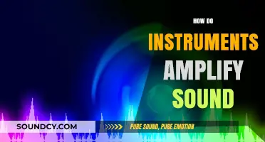 Unveiling the Science: How Musical Instruments Amplify Sound Waves