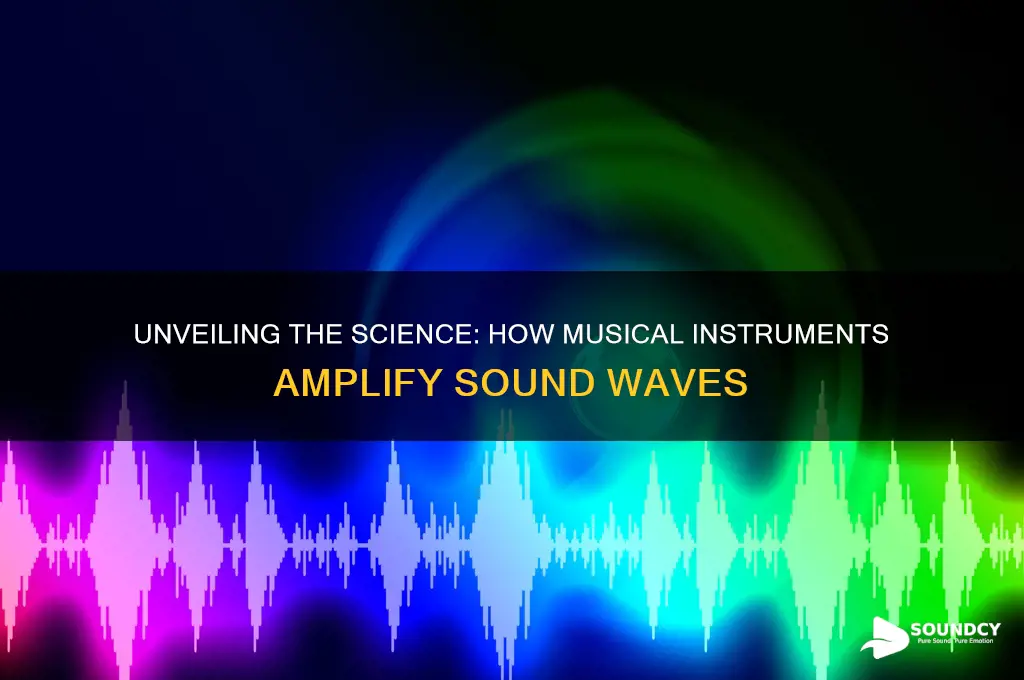 how do instruments amplify sound