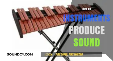 Unveiling the Science: How Musical Instruments Create Sound Waves
