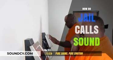 How Do Jail Calls Sound? A Revealing Look at Inmate Communication