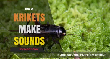 Unveiling the Science Behind Cricket Chirps: How They Create Their Signature Sounds