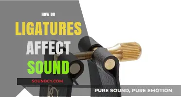 How Ligatures Influence Sound Production in Musical Instruments