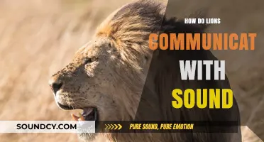 Roaring Revelations: Decoding Lions' Sonic Communication Strategies in the Wild