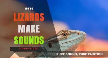 Unveiling the Unique Vocalizations: How Lizards Produce Sounds