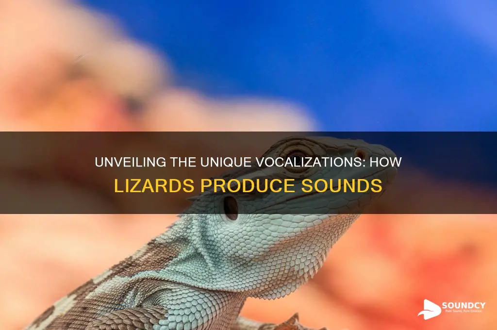 how do lizards make sounds