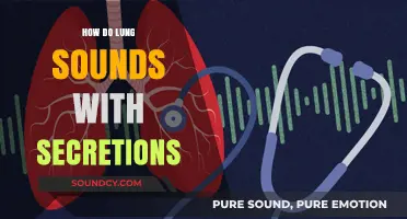 Understanding Lung Sounds: Identifying Secretions and Their Clinical Significance