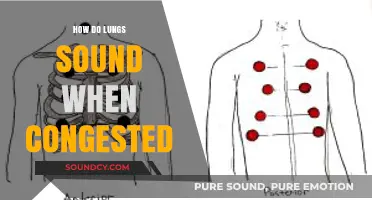 Understanding Congested Lung Sounds: What to Listen For and Why