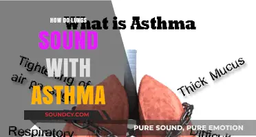 Understanding Asthma: Decoding the Unique Sounds of Asthmatic Lungs