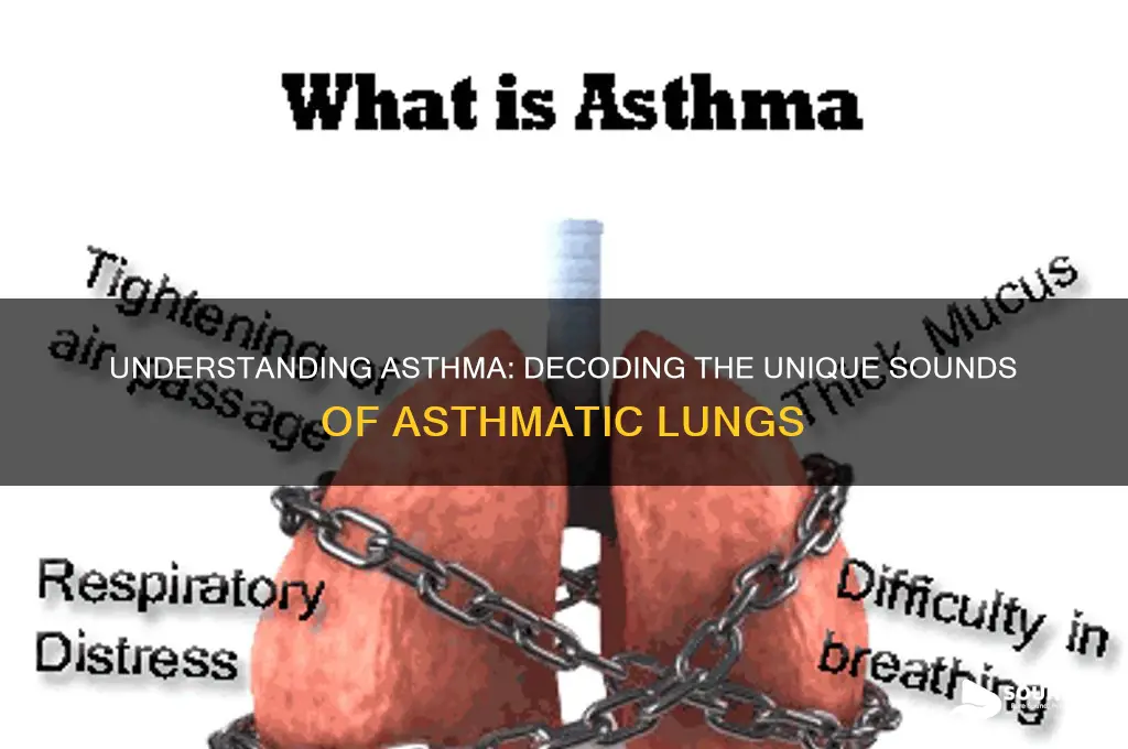 how do lungs sound with asthma
