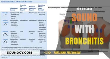 Understanding Bronchitis: What Do Lungs Sound Like During an Episode?