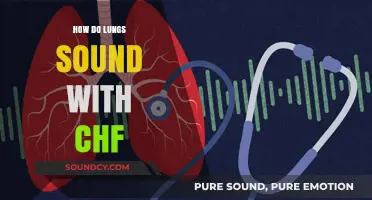 Understanding Lung Sounds in Congestive Heart Failure: What to Listen For