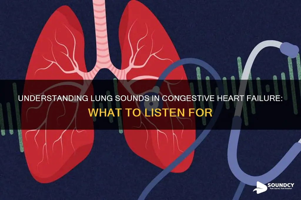 how do lungs sound with chf