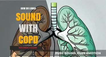 Understanding COPD Lung Sounds: What to Listen For and Why