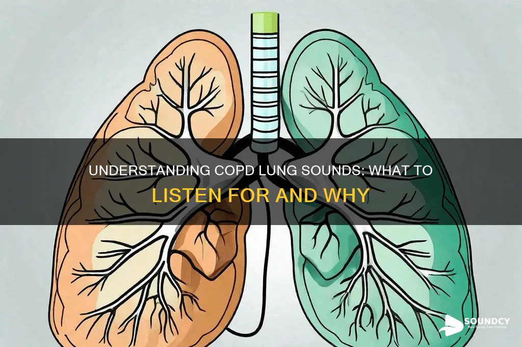 how do lungs sound with copd
