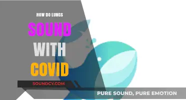 COVID-19 Lung Sounds: What to Listen for in Respiratory Assessments
