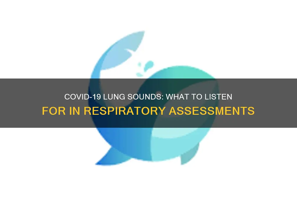 how do lungs sound with covid