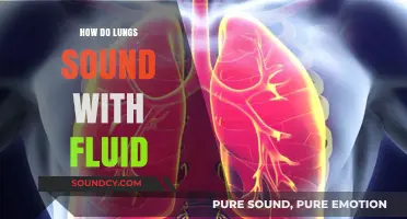 Fluid in Lungs: Understanding Abnormal Breath Sounds and Symptoms