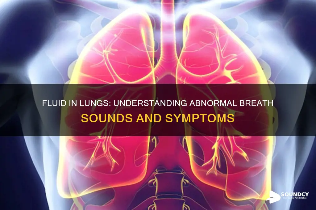 how do lungs sound with fluid