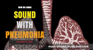 Lung Sounds: Pneumonia's Audible Symptoms