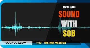 Understanding Lung Sounds: Identifying SOB Through Auscultation
