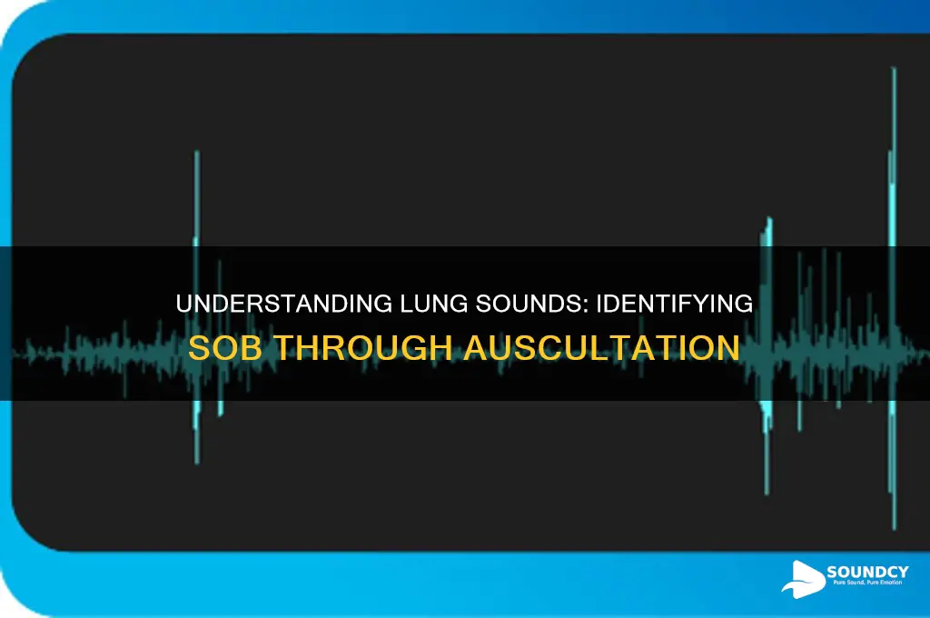 how do lungs sound with sob