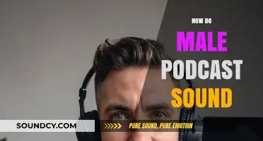 Decoding the Unique Tone and Style of Male-Hosted Podcasts
