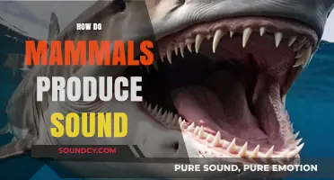 Unveiling the Vocal Mechanics: How Mammals Create Diverse Sounds