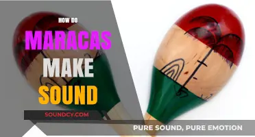 How Maracas Create Rhythm: The Science Behind Their Vibrant Sound